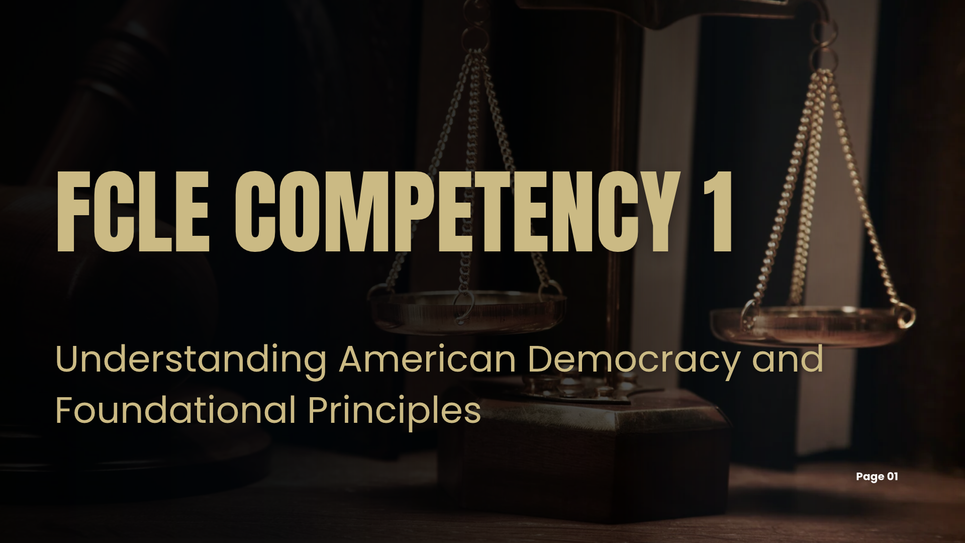 FCLE Competency 1: Understanding American Democracy and Foundational Principles